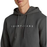 Tommy Jeans - Tjm Reg Linear Logo Ext Dm0dm20746 - Hoodie - Grijs