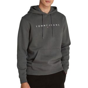 Tommy Jeans - Tjm Reg Linear Logo Ext Dm0dm20746 - Hoodie - Grijs