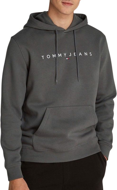 Tommy Jeans - Tjm Reg Linear Logo Ext Dm0dm20746 - Hoodie - Grijs