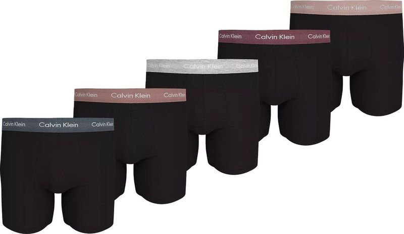 Calvin Klein - Boxer Briefs - Zwart - Katoen - Set van 5