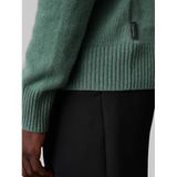 Calvin Klein, Heren, Truien, Groen, Maat: XS Wol,