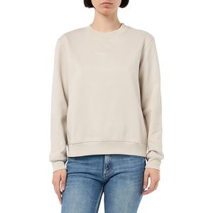 Calvin Klein Jeans Dames INSTITUTIONAL GRAPHIC CREWNECK J20J224731 Pullover Sweatshirt, Grijs (Moonbeam), M, Grijs (Moonbeam), M