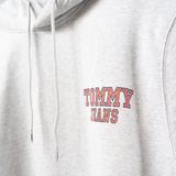 Tommy Hilfigr TJW REG Entry Graphic Hoodie Heren - Grijs