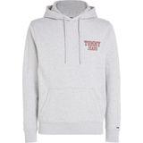 Tommy Hilfigr TJW REG Entry Graphic Hoodie Heren - Grijs