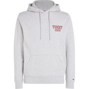 Tommy Hilfigr TJW REG Entry Graphic Hoodie Heren - Grijs
