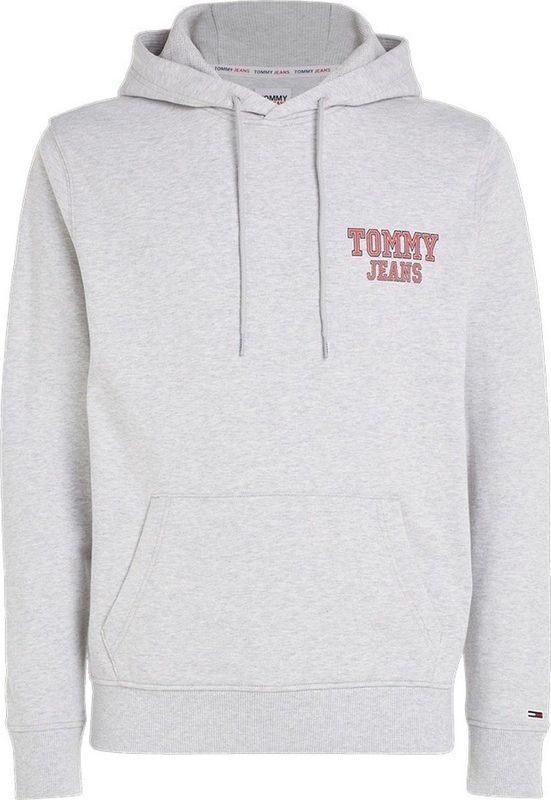Tommy Hilfigr TJW REG Entry Graphic Hoodie Heren - Grijs