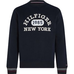 Tommy Hilfiger sweater maat S