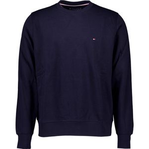Tommy Hilfiger Sweatshirt voor heren zonder capuchon, Blauw (Woestijnhemel), XS