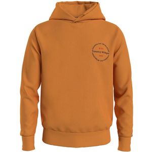 Tommy Hilfiger Roundel Hoodie