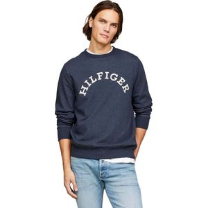Tommy Hilfiger Sweatshirts voor heren, Blauw (Desert Sky Heather), XS