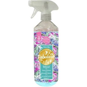 Fabulosa Waterlily - Geconcentreerde desinfecterende spray Waterlily - Allesreiniger - 500ML - Vegan - Inclusief Gratis Sample