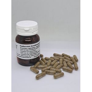 Zuurzak - Graviola capsules (vegetarisch) 60 stuks