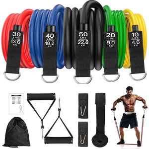 MJ Sports Premium Resistance Band Set - Fitness Elastiek - Weerstandsbanden - Strap Handles - Ankle Straps - Home Workout - Fitness - Set van 12 - Inclusief Draagtas & Handleiding