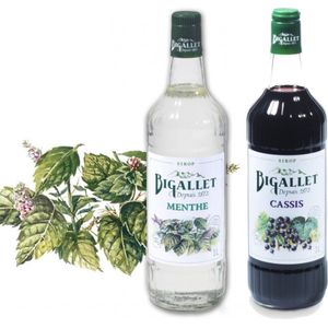 Bigallet sodamaker limonadesiroop voordeelpakket Cassis & Munt - 2 x 1 liter