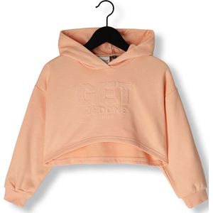 Retour Hoodie - RJG-051-709 - Kleur: Oranje