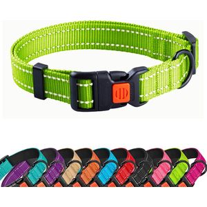 Halsband hond - Reflecterend - Groen - Maat XS - Met veiligheidssluiting - Voor hele kleine honden