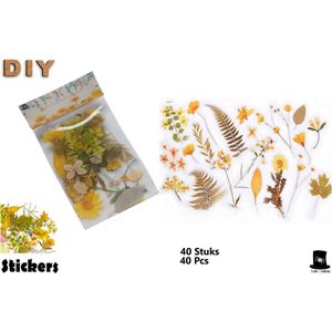 Bob Online ™ - 40 Stuks – Deco Stickers - Geel Bloemenstickers PET – Transparant Bloemstickers voor Scrapbooking, Kaarten Maken, Inpakken, DIY Ambachten, Waterflessen, Telefoonhoesjes, Laptops – Flower Stickers PET – Retro Floral Stickers Yellow