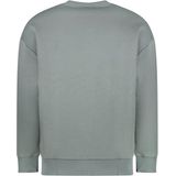 CARS Jeans Truien EAMON Crew SW Moss