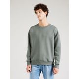 CARS Jeans Truien EAMON Crew SW Moss