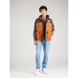 CARS Jeans Truien EAMON Crew SW Moss