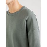 CARS Jeans Truien EAMON Crew SW Moss