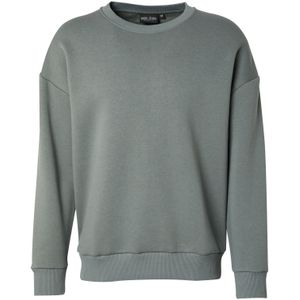 CARS Jeans Truien EAMON Crew SW Moss