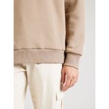 CARS Jeans Truien EAMON Crew SW Taupe