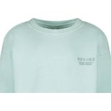 Cars - Sweater - Blauw - 100% Katoen - Comfortabele Sweatstof