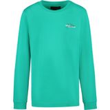 Cars - Turo - Longsleeve - 100% Katoen