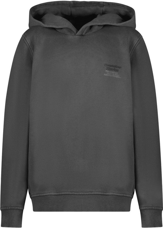 Cars Jeans - Longsleeve - Grijs - Kids NORTHAN SW Hood