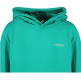 Cars Jeans - CELENCE SW - Hoodie - Groen - Kids