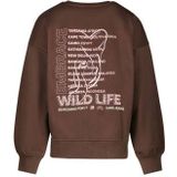 PEYLE - Cars - Sweater - Katoen en Polyester