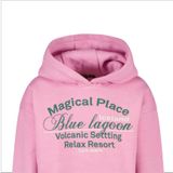 Sweater - Cars - Met Capuchon - Lange Mouwen