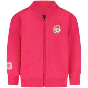 Little Cars - Jasje - Met Lange Mouwen - Ronde Hals - Ritssluiting - Geribde Boorden