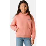 Cars - Hoodie - Roze - Sweater