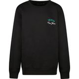 Cars Jeans - Taray Jr. - Sweater - Jongens