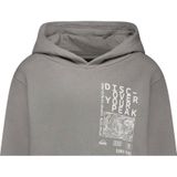 Cars - RANTEN - Hoodie - Grijs - Met Backprint