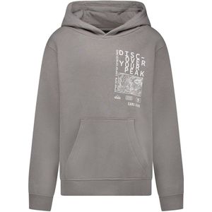 Cars - RANTEN - Hoodie - Grijs - Met Backprint