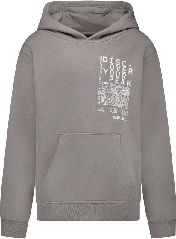 Cars - RANTEN - Hoodie - Grijs - Met Backprint