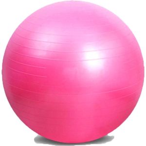 DW4Trading Yoga Gymbal - Fitness - Pilates - Swiss Bal - 60 cm - Roze