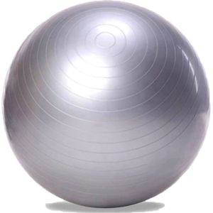 DW4Trading Yoga Gymbal - Fitness - Pilates - Swiss Bal - 60 cm - Zilver