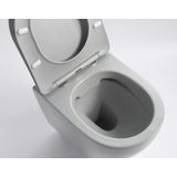 Hangend toilet Pietro randloos inclusief softclose zitting mat grijs 49x37x37cm