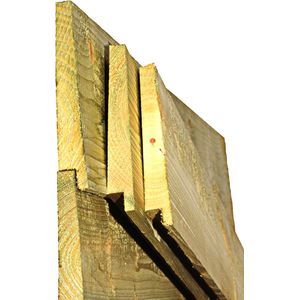 Douglas - Zweeds Rabat - Blank - 500cm - FSC Gecertificeerd