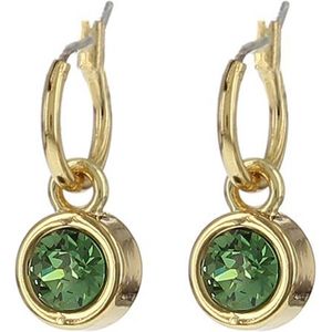 Biba - Hang Oorbellen - Goud - Swarovski Steentje Erinite