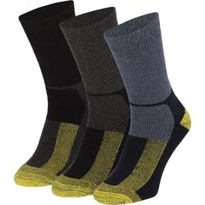 Apollo - Thermosokken - Assorti Gekleurd - 1 X 3 Paar - 25% Wol