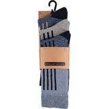 Apollo - Badstof Sokken - Multi Blauw - 3-Pak - 74% Katoen
