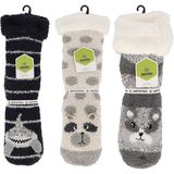 Apollo - Huissokken - Beige - Dierenprint