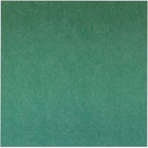 Akoestisch wandpaneel PET-vilt - 100x100 cm - Groen