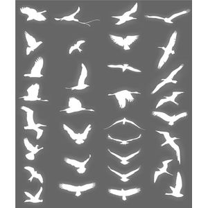 België 1985 - Studie op de  vogels van Buzin , allemaal préo's, met pln, drukdatums, enz