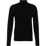 WE Fashion Heren fijngebreide coltrui